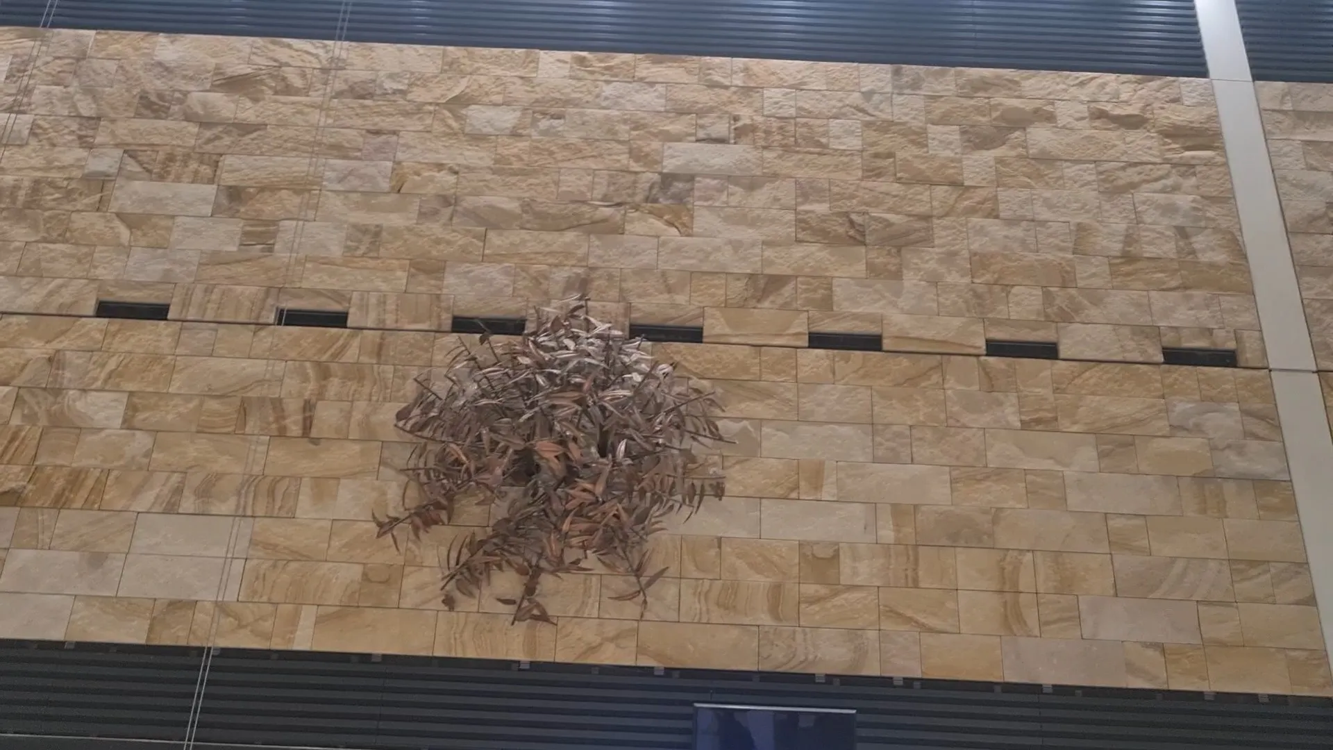 Picture of the sandstone walls and leaf decorations.