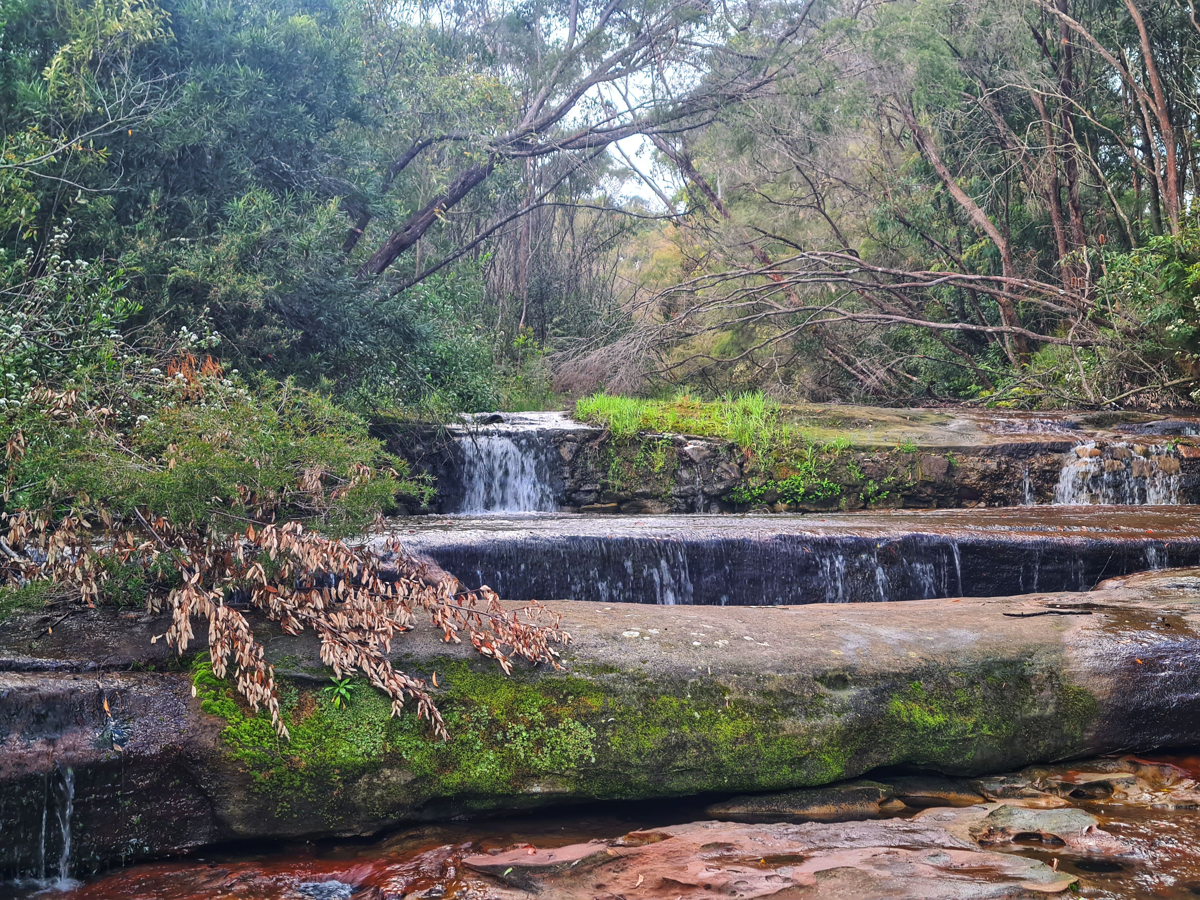 Watergarden